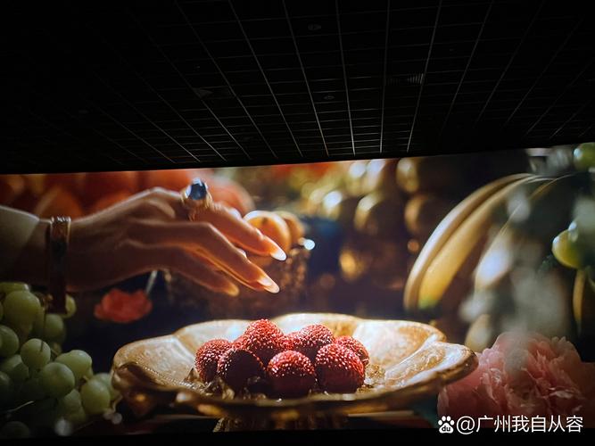 可以免费视频的app的相关介绍