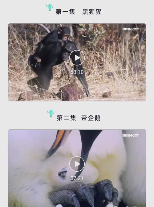 人人影院的相关介绍