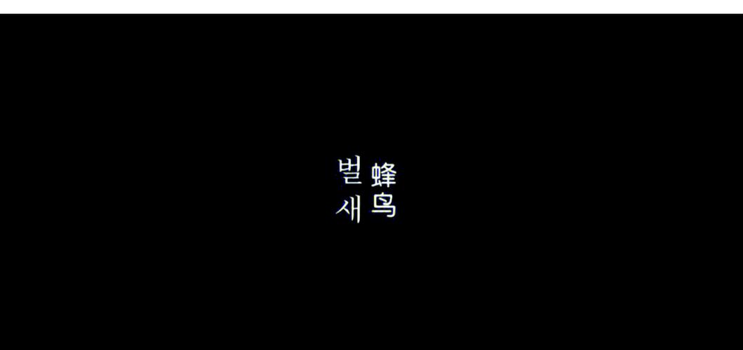 日本大波妞的相关介绍