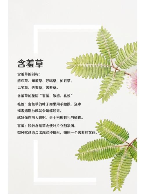 神马影院在线的相关介绍