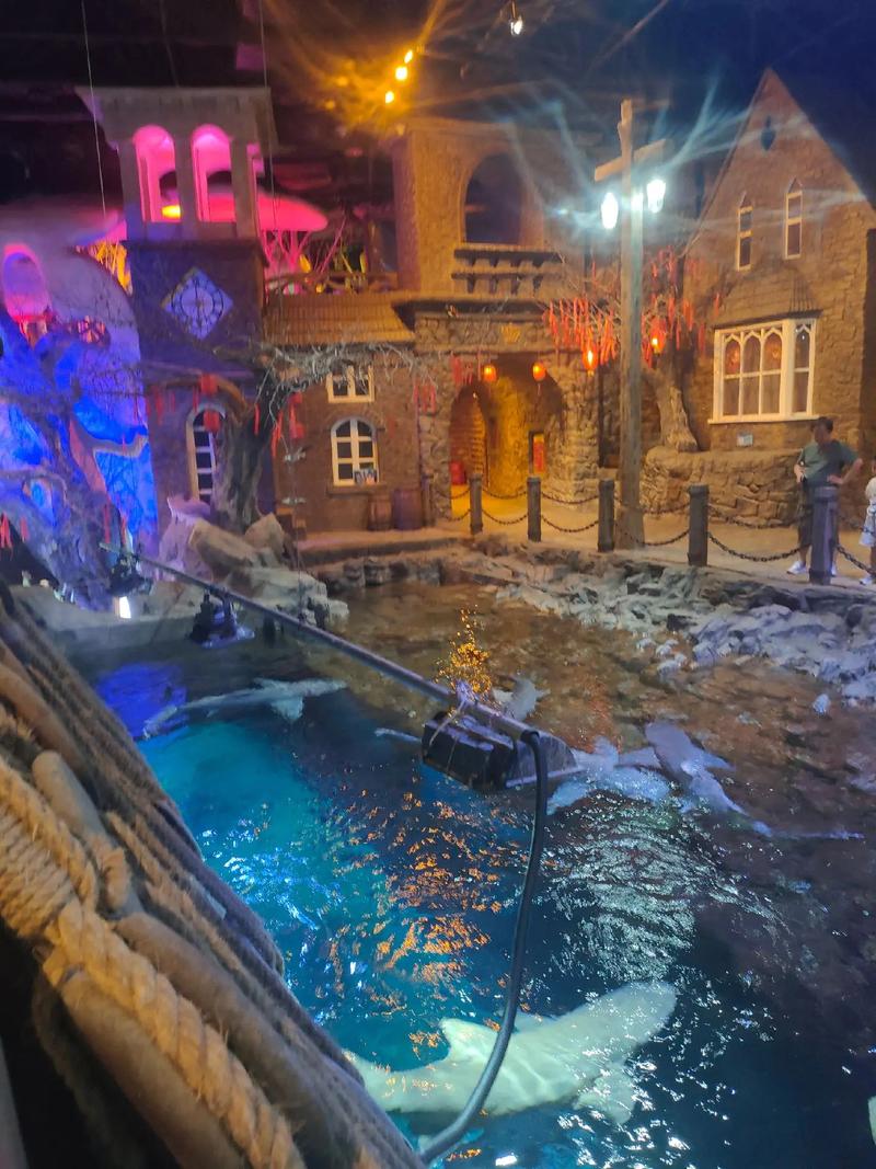 欧美性感美女大尺度照片的相关介绍