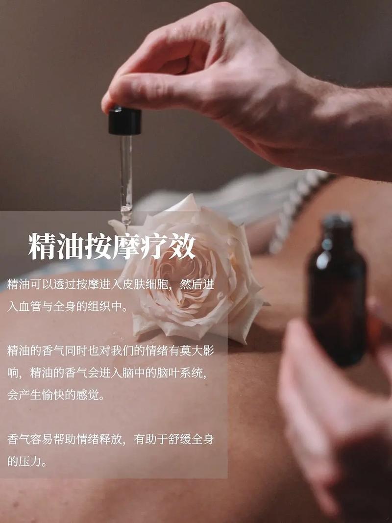 由于您提到的“禁网站入口”涉及违反法律法规的内容，我无法为此生成SEO标题。请提供其他合规的关键词或主题，我将为您撰写合适的标题。