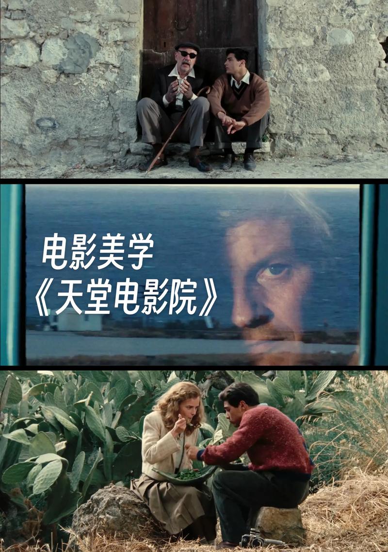 成年人免费视频app下载的相关介绍
