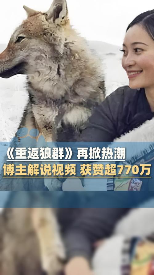 意大利av电影的相关介绍