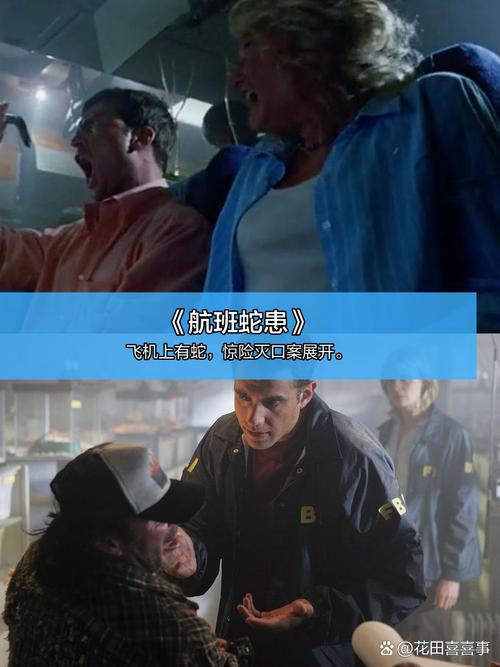 高潮毛片无遮挡观看的相关介绍