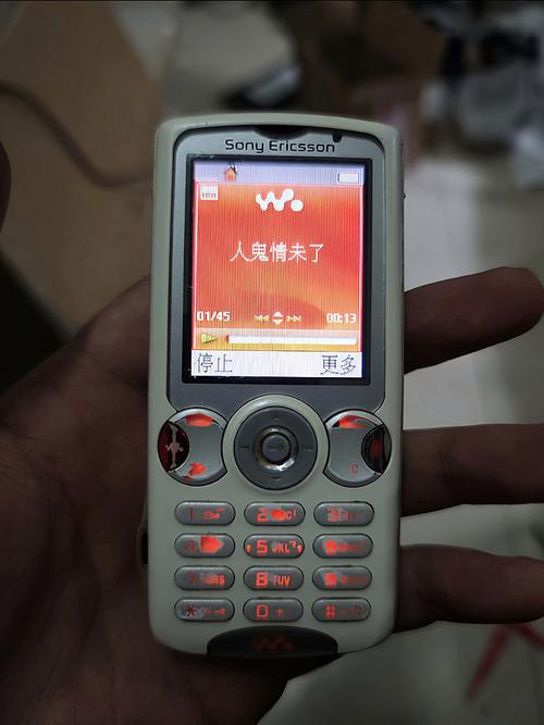 4080新视觉影院手机的相关介绍