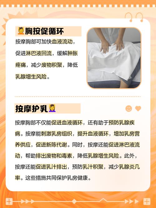 高清一级毛av的相关介绍