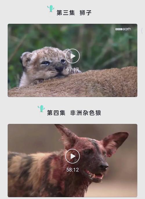 亚洲成熟少妇的相关介绍