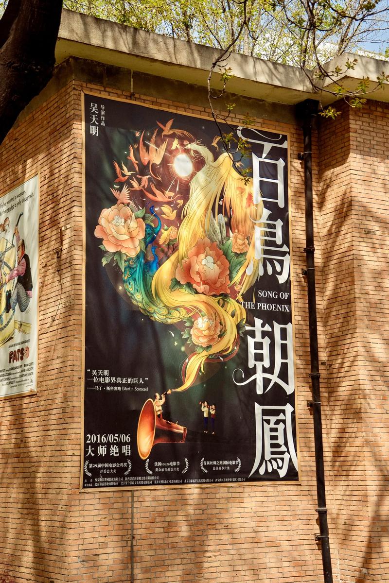 操美女教师的相关介绍