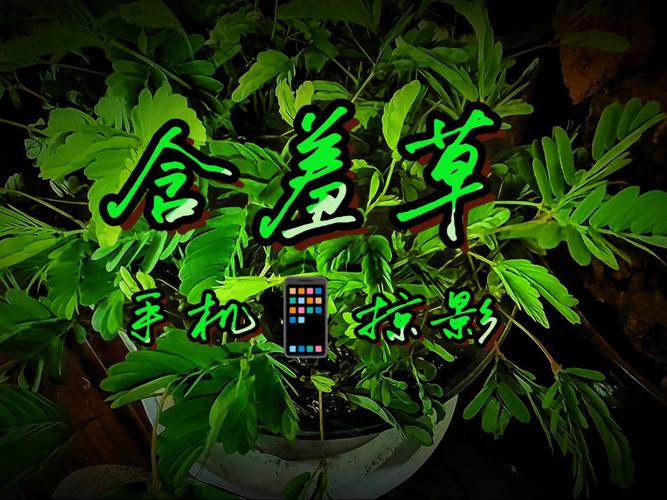 北京电影院的相关介绍