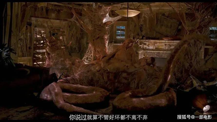 天天撸影院的相关介绍