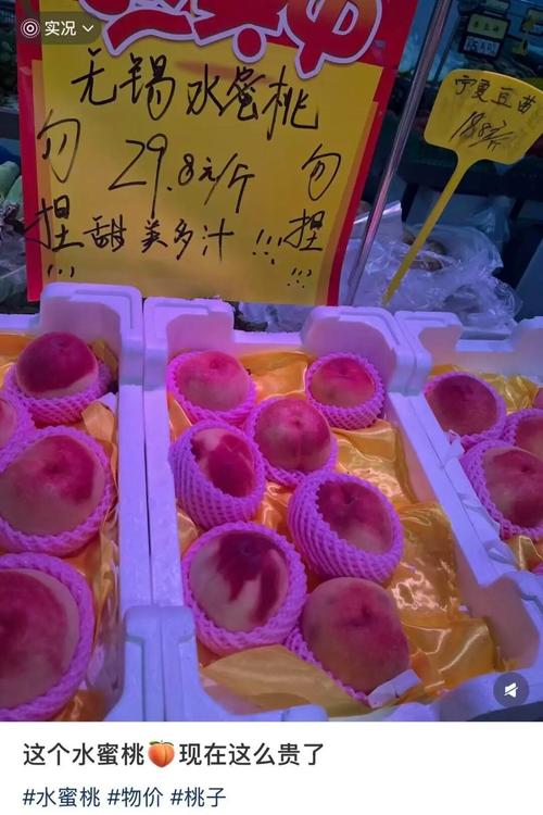 颐堤港电影院影讯的相关介绍