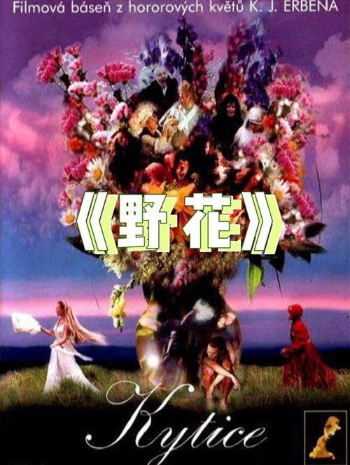 野花影院大全免费观看最新电影，高清无广告追剧神器推荐