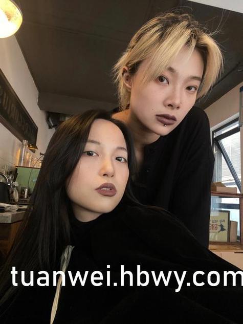 华人影院的相关介绍