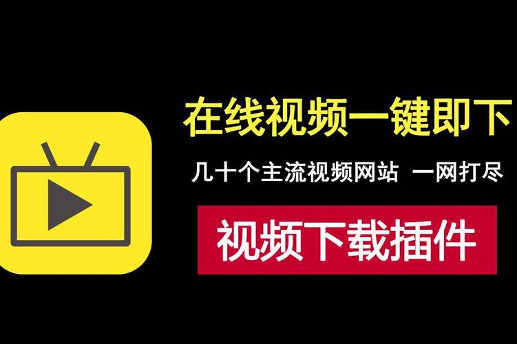 欧美老熟妇诱惑的相关介绍