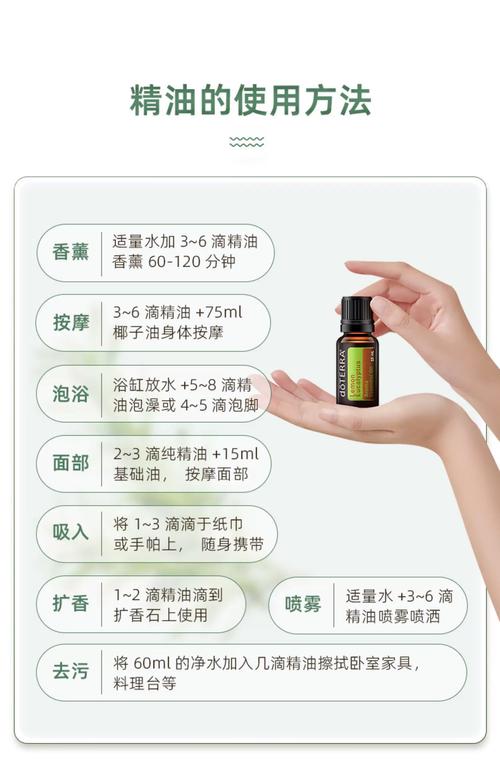 2828电影海鸥影院的相关介绍