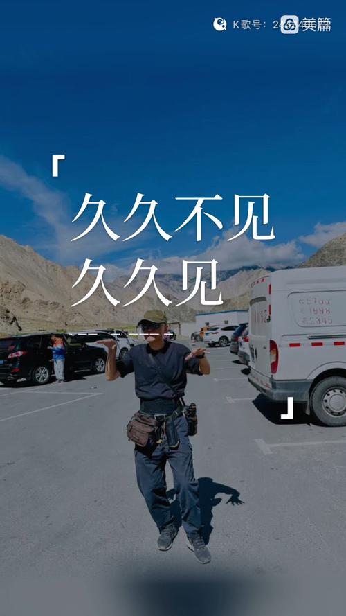 午的成人影院的相关介绍