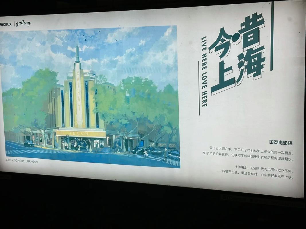 桥本有菜大尺度写真集的相关介绍