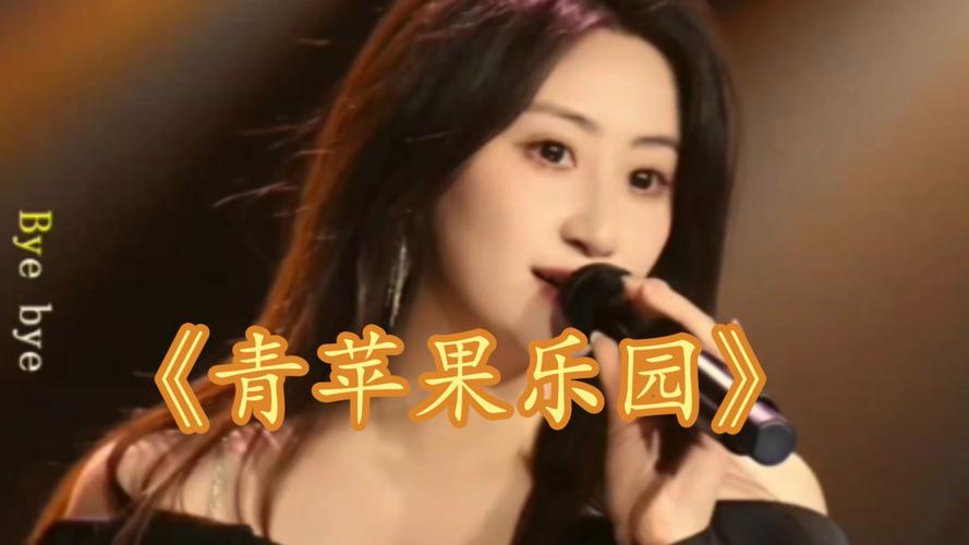 夫妻看的黄色录像的相关介绍