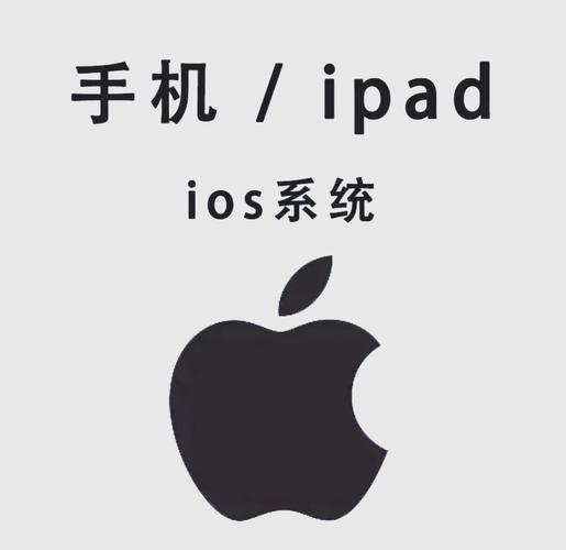 虎四影院在线观看免费的相关介绍