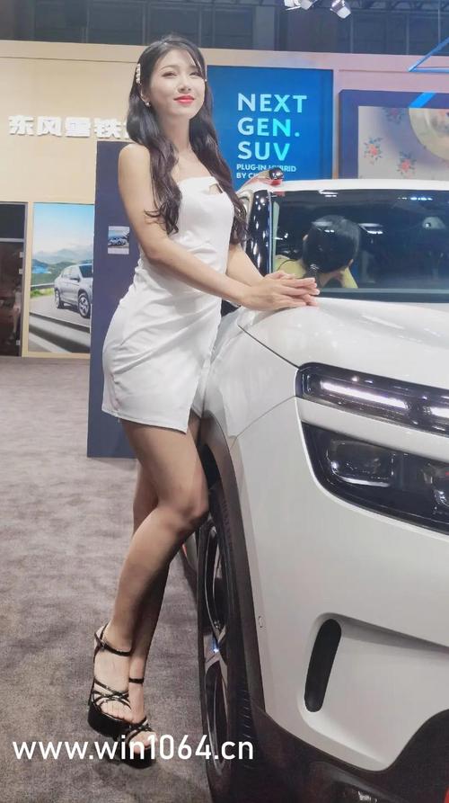 夫妻看的毛片的相关介绍