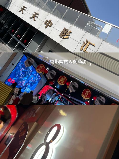 58视频app免费下载的相关介绍