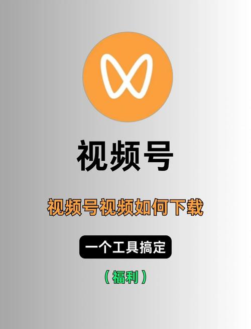 小视频无水印下载神器，轻松保存热门短视频到本地相册
