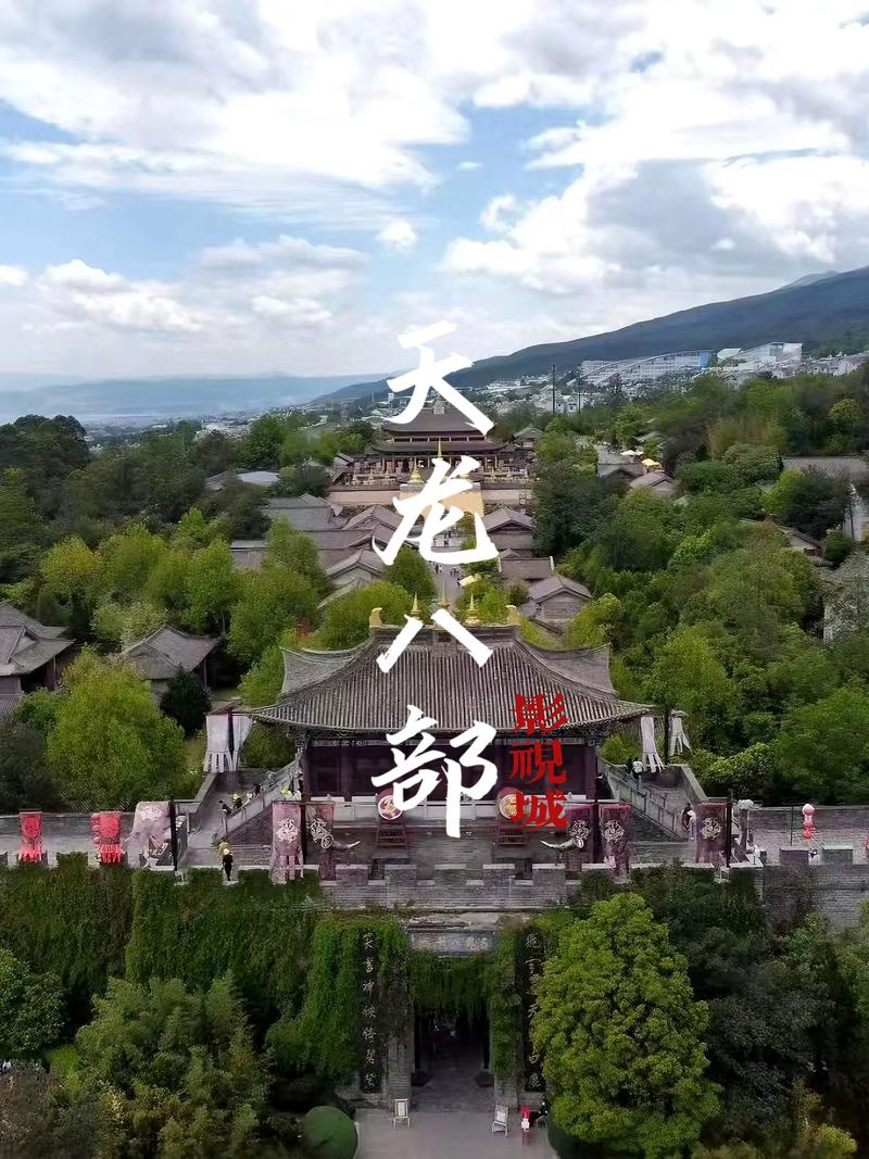 yy成人影院的相关介绍