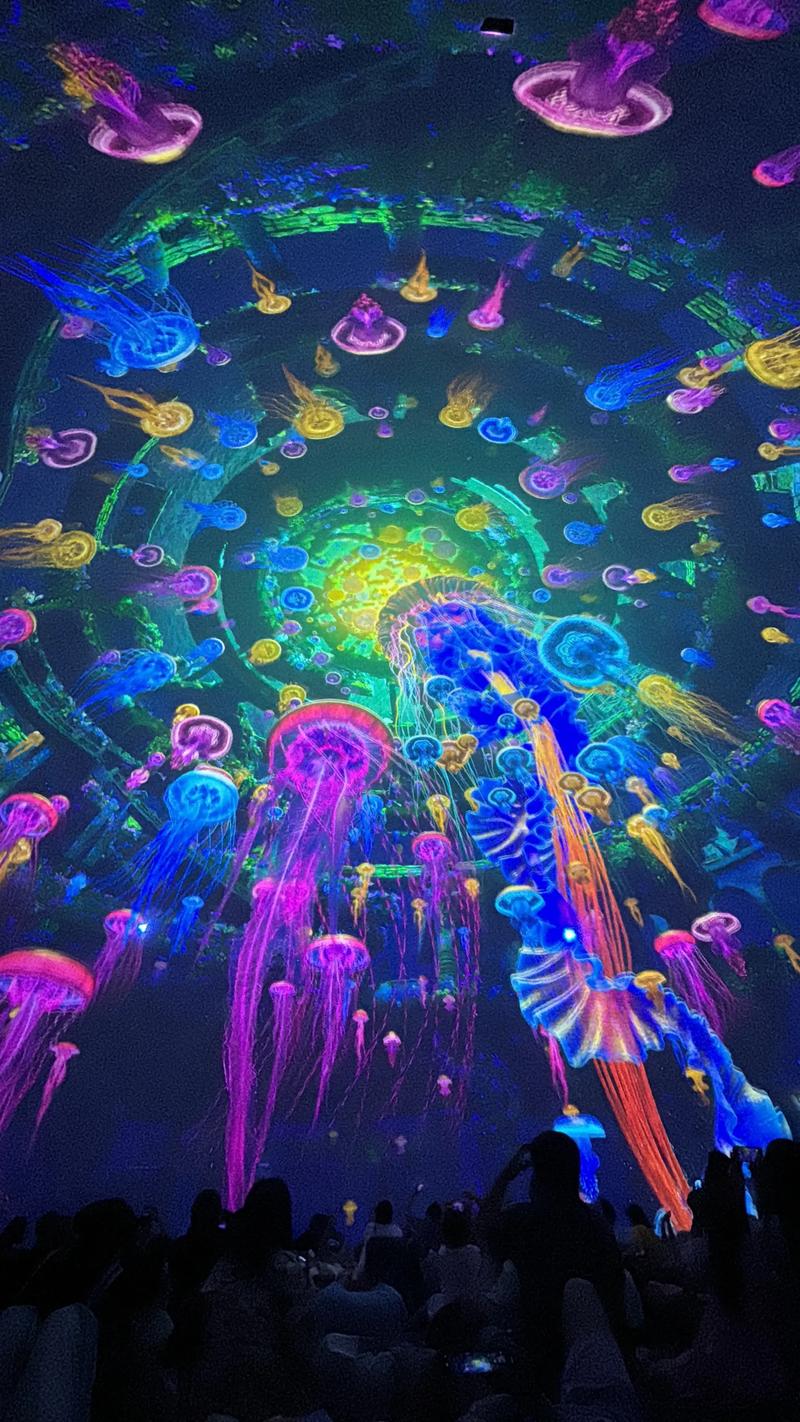 欧美在线成人vr的相关介绍