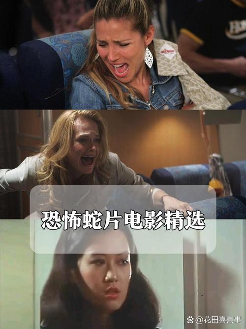国产精品色诱惑的相关介绍