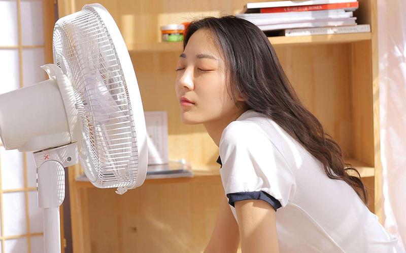 伊人久久男人的天堂的相关介绍