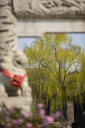 人妻 图片 小说的相关介绍