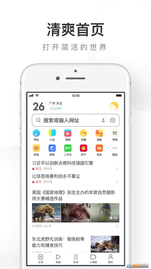 操出白浆怎么回事的相关介绍
