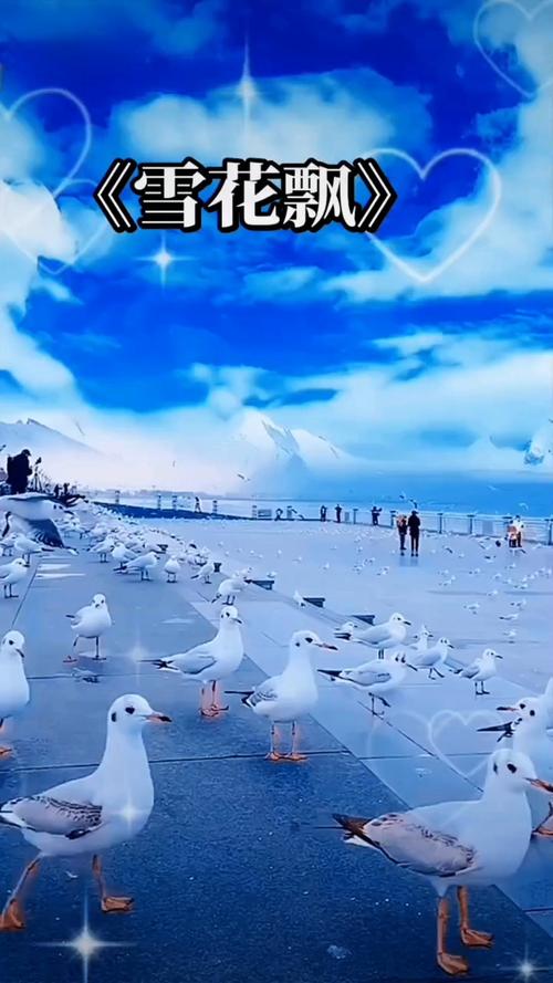 电影院上映表的相关介绍