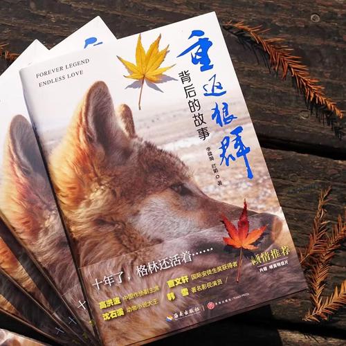 少妇中文字幕av的相关介绍