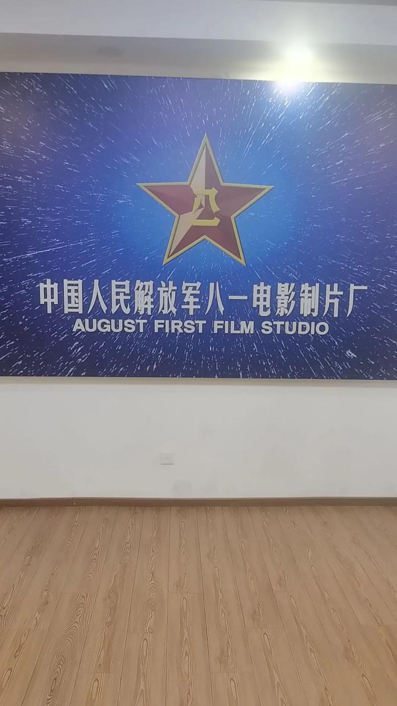 视色影院的相关介绍