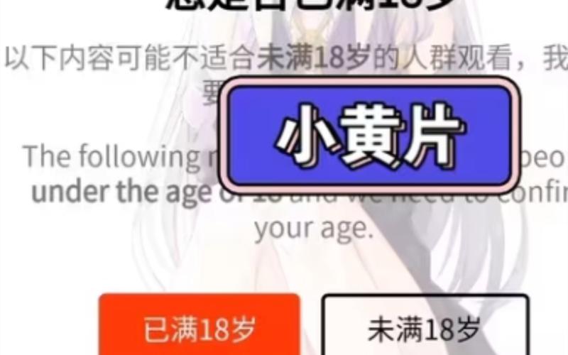 乐派午夜影院的相关介绍