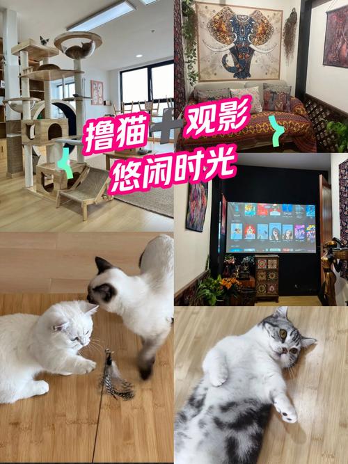 操美女老师的视频的相关介绍