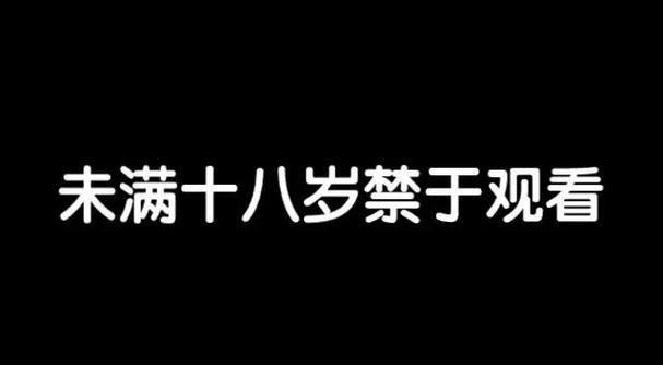 未满十八禁止观看在线观看 - 未成年人防沉迷系统与青少年健康上网指南（含年龄验证、家长监护、内容分级）