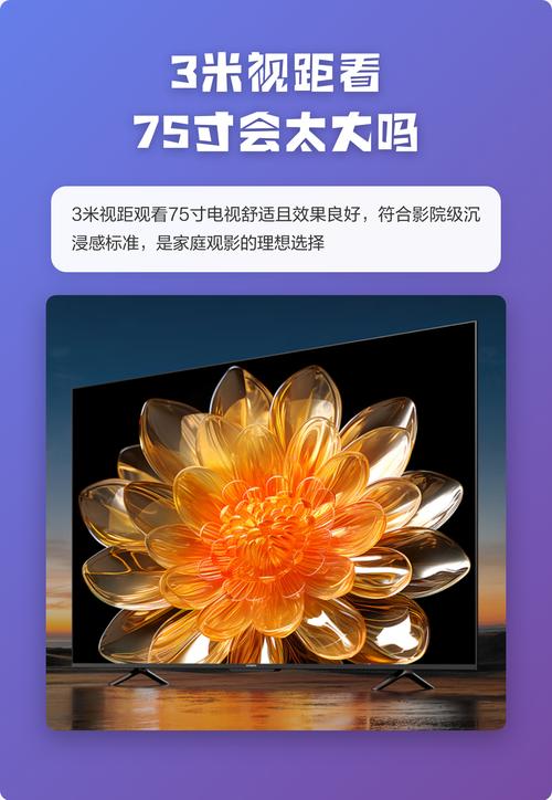 波罗野结衣毛片的相关介绍