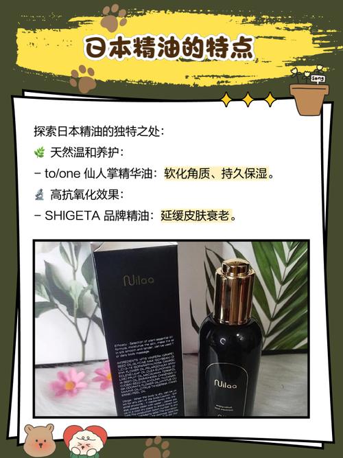 欧美mv日韩mv国产一区二区的相关介绍