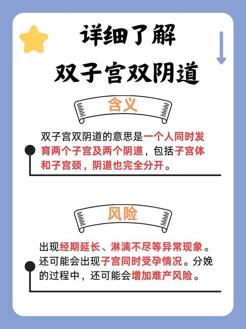 欧美影院的相关介绍