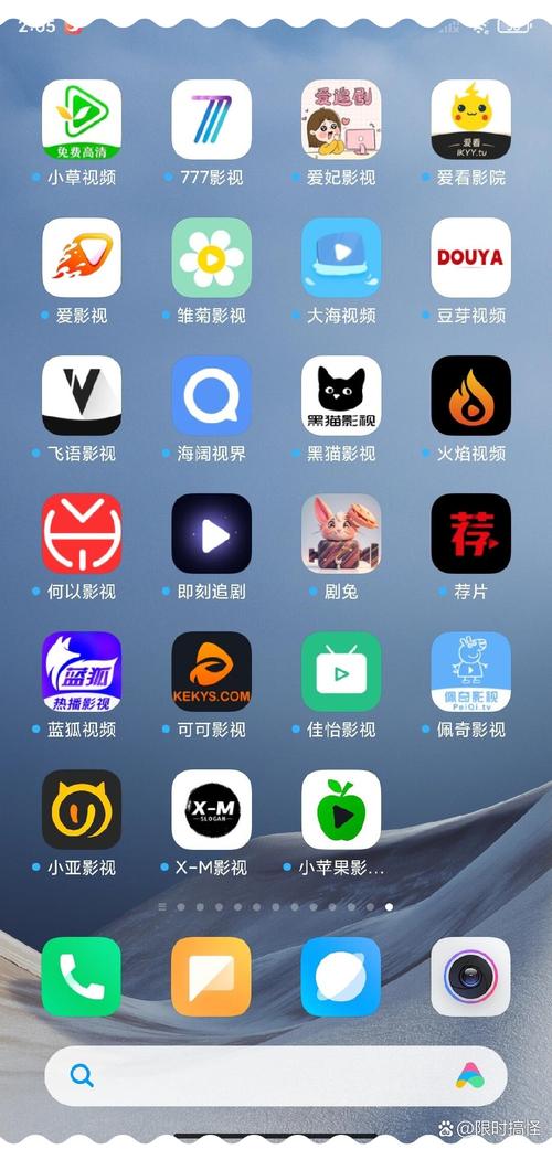 日本大波波的相关介绍