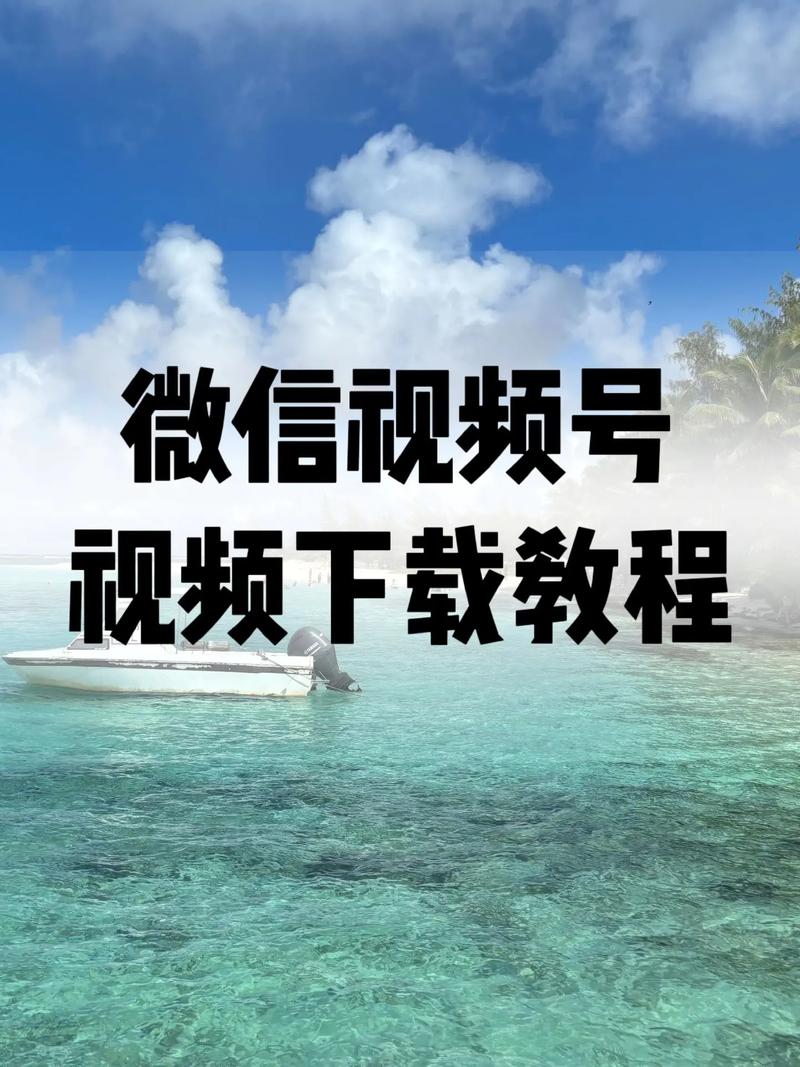 狂插女人逼的相关介绍