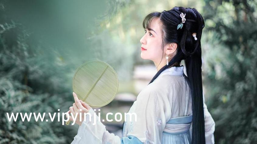 波波虎网络影院的相关介绍