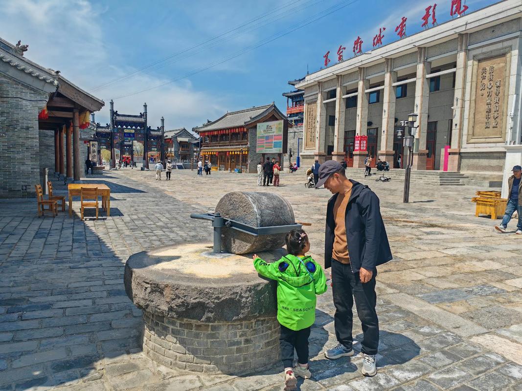 免费的看视频app的相关介绍
