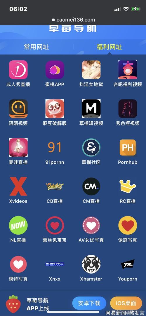 老司机电影院午夜看片的相关介绍
