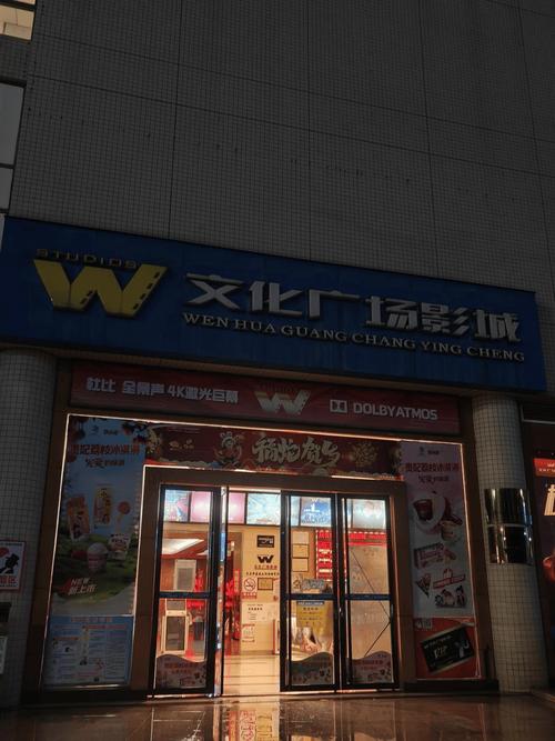 欧美在线成人app的相关介绍