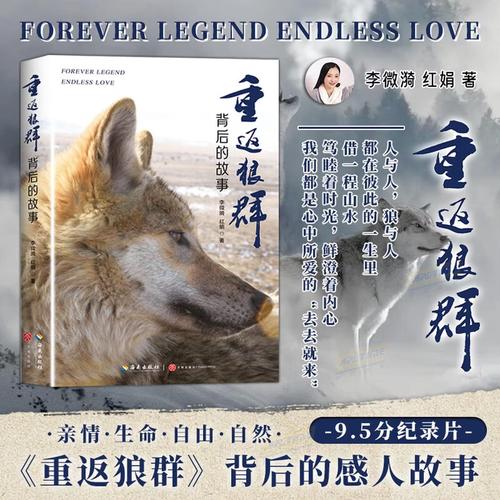 《东京精油按摩》在线看的相关介绍