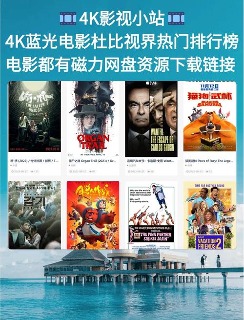 美女老师叉开腿让我操的相关介绍